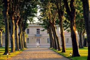 Soussans: Guided Winery Tour with Wine Tasting near Margaux