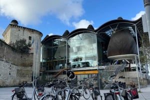 Bordeaux'n parhaat puolet: E-Bike-kierros, jossa on petankkia ja alkupaloja