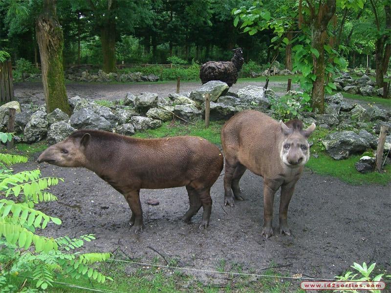 The Bordeaux Zoo - Pessac