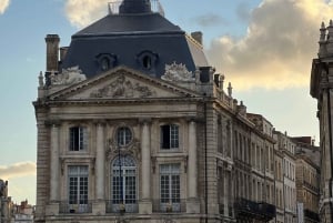 The essentials of Bordeaux : 2 hours private tour