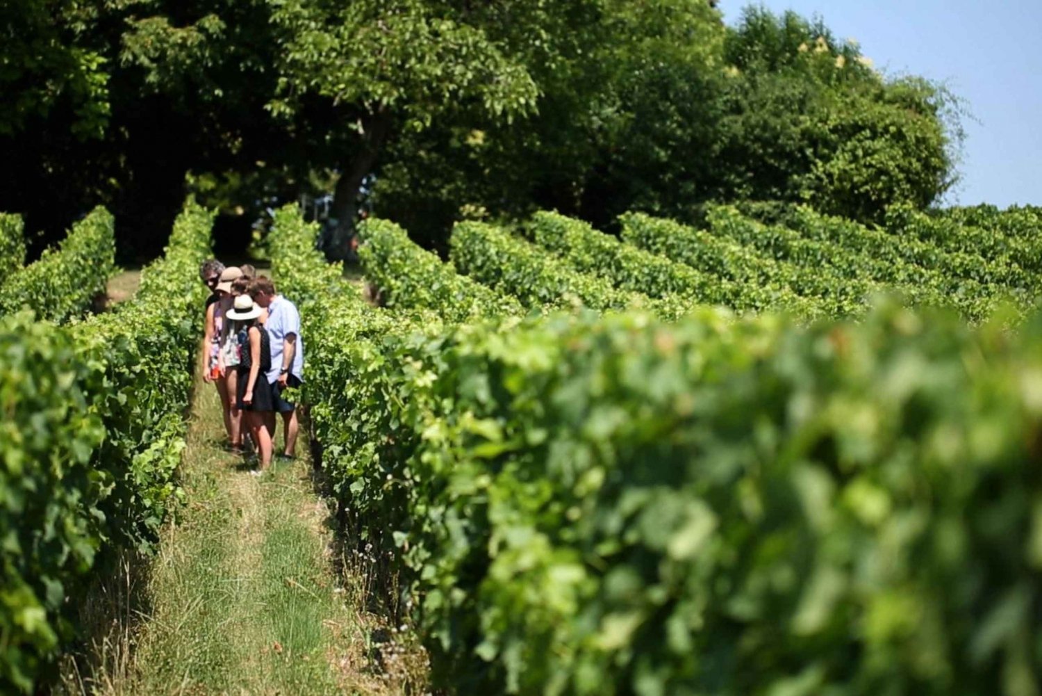 Bordeaux: St-Emilion Vineyards e-Bike Tour with Wine & Lunch