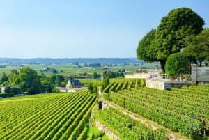 Privat rundtur från Bordeaux med UNESCO:s kulturarv och vinupplevelser