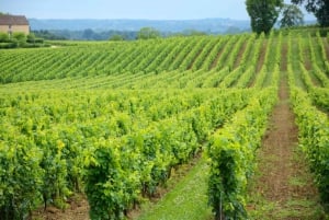 UNESCO Heritage and Wine Delights Private Tour from Bordeaux