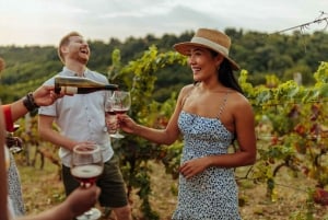 ボルドー発ユネスコ遺産とワインの楽しみを満喫するプライベート ツアー