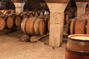 Experiencia inusual de cata de vinos - Madera y Vino