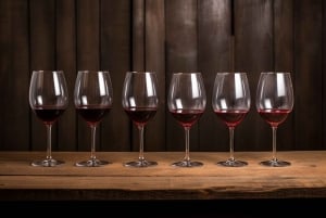 Experiencia inusual de cata de vinos - Madera y Vino