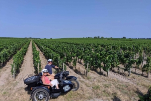 Besøk i Bordeaux OG utflukt i en vingård