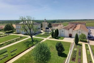 Bordeaux walking city tour with a local certified guide