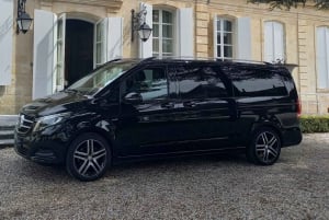 Tour guidato a piedi della città di Bordeaux con guida locale certificata