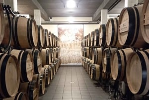 Wine Tour : the beauty and flavors of Bordeaux vineyards.