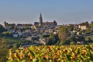 Miejsca światowego dziedzictwa i winiarnie Saint-Emilion z lunchem
