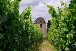 Full-day Saint-Emilion: Village, Undergrounds and Châteaux