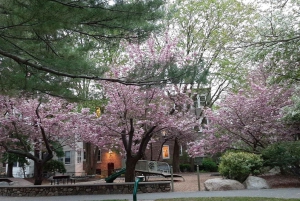 En rejse gennem tiden: en byvandring/kørsel i Boston