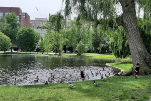 En rejse gennem tiden: en byvandring/kørsel i Boston