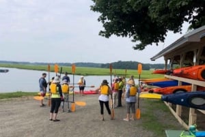 Viagem de um dia a partir de Boston: Passeio de caiaque pelo porto de Gloucester