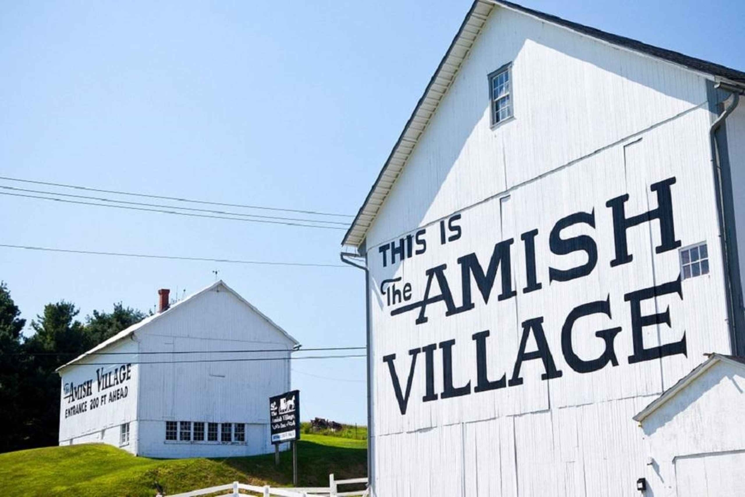 Visite à la journée à la ferme et à la maison amish au départ de Washington D.C.