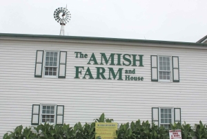 Visite à la journée à la ferme et à la maison amish au départ de Washington D.C.