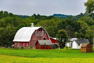 Visite à la journée à la ferme et à la maison amish au départ de Washington D.C.