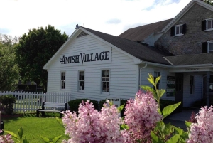 Visite à la journée à la ferme et à la maison amish au départ de Washington D.C.