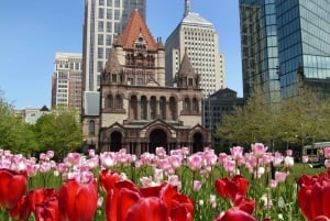 Best of Boston: Full-Day Private Tour