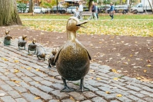 Boston: 2-stündige Back Bay und Freedom Trail Walking Tour