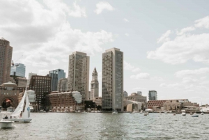 Boston: båttur med arkitektur i hamnen och Charles River