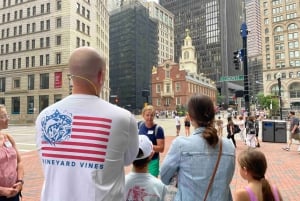 Boston met kleine voetjes wandeltour: 60 min privétour