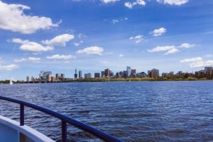 Boston: Charles River Sightseeing Cruise