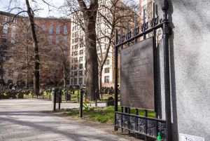 Boston History and Freedom Trail Private Walking Tour