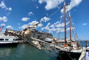 Boston: Daysail Cruise Aboard a Tall Ship