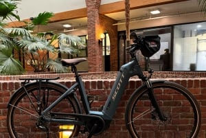 Boston Electric Assist Bicycle Rental