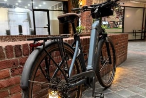 Boston Electric Assist Fahrradverleih