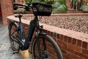 Boston Electric Assist Bicycle Rental