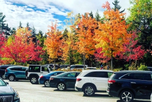 tour de los colores del otoño