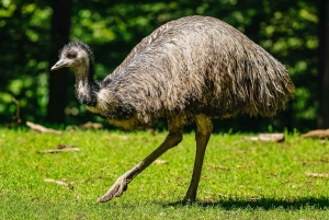 ボストン：フランクリン パーク動物園入場券