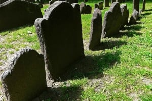 Boston: Szlak wolności oraz wycieczka kulinarna i historyczna po North End