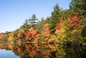 Port de Boston : Déjeuner-croisière sur les feuillages d'automne