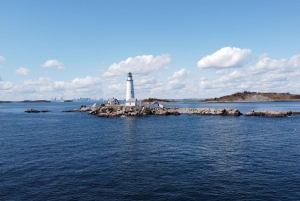 Crociera con brunch del fine settimana con il fogliame autunnale del porto di Boston