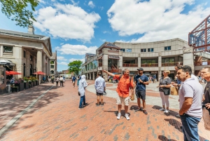 Tour à tarde pela história e destaques de Boston