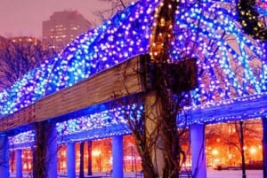 Boston: Holiday Sights en Feestelijke Nachten Trolley Tour