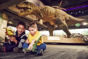 Boston : Musée des sciences Billet coupe-file pour les salles d'exposition