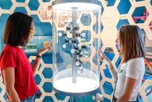 Boston: Museum of Science – privat guidad tur med förtur