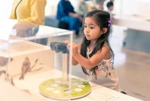 Boston: Museum of Science – privat guidad tur med förtur