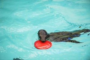 Boston: New England Aquarium Skip-the-Line Entry Ticket