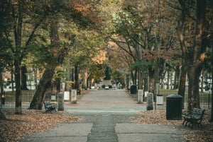 Boston: North End Night Tour with Dinner Experience