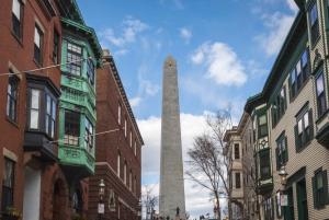 Boston: Private City Driving Tour