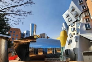 Бостон: частная экскурсия по городу Бостон и Кембридж