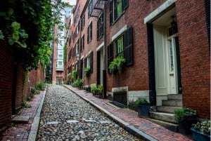 Boston: Private Driving Tour with a Local Guide