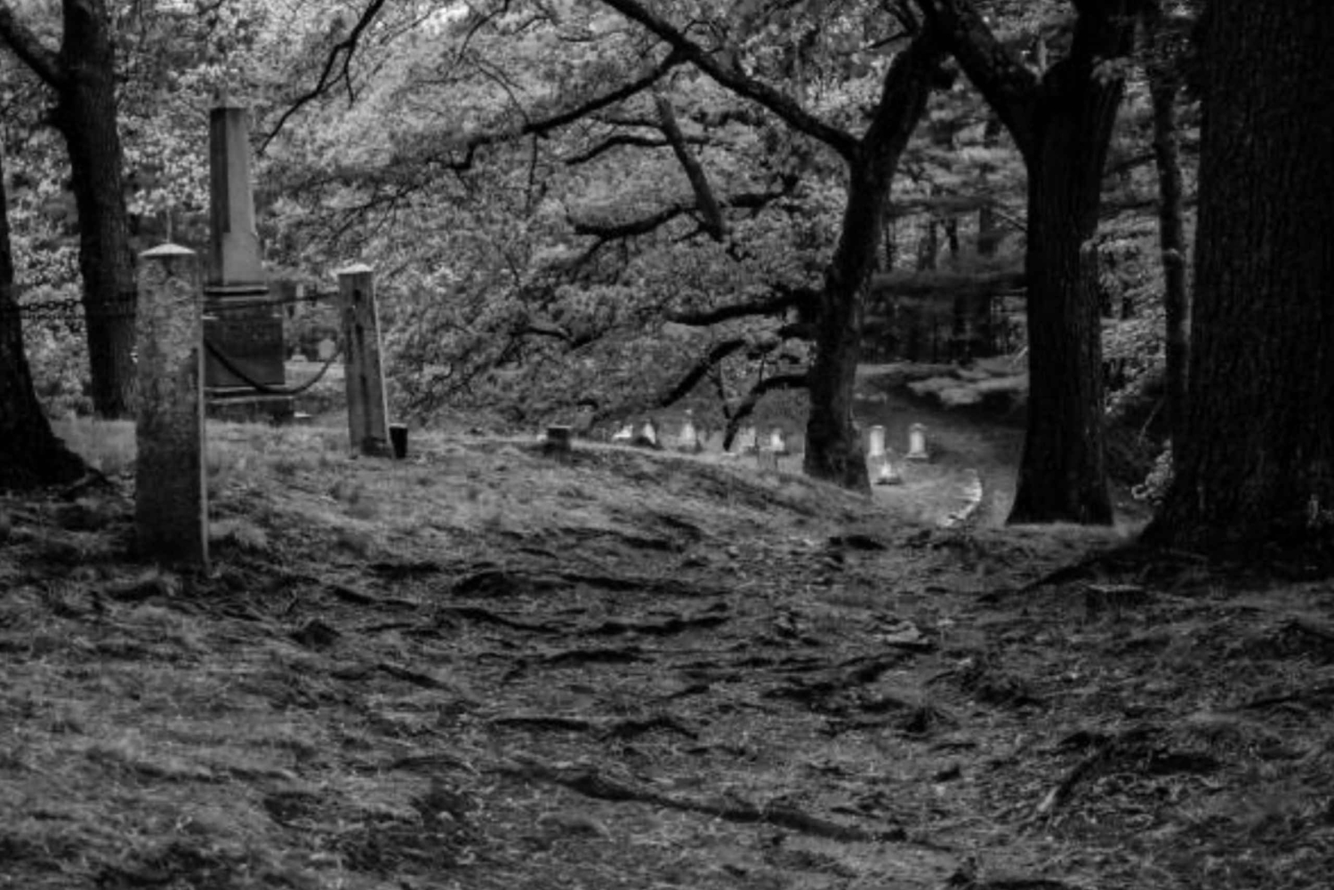 Boston: excursão particular mal-assombrada após o anoitecer