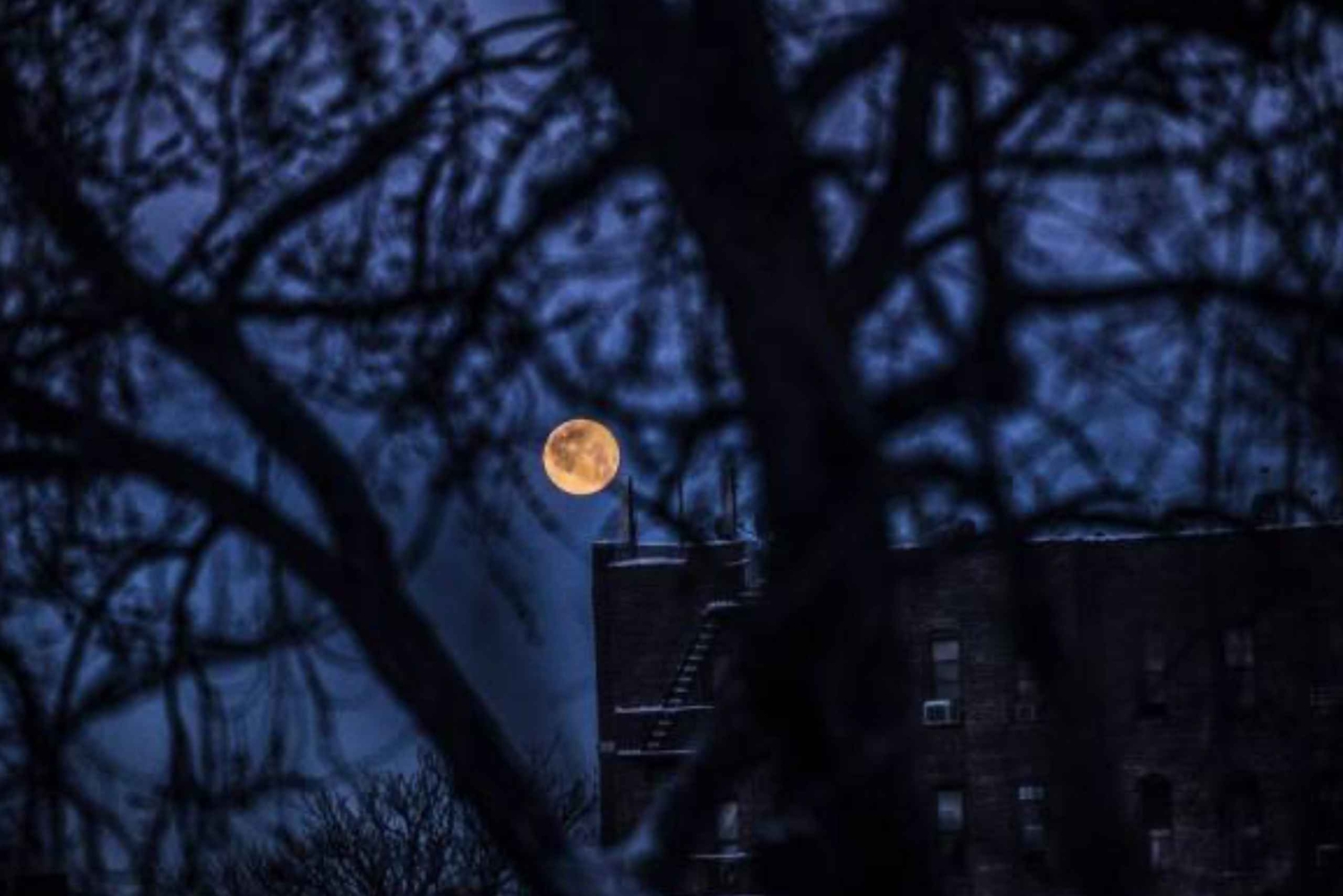 Boston: excursão particular mal-assombrada após o anoitecer